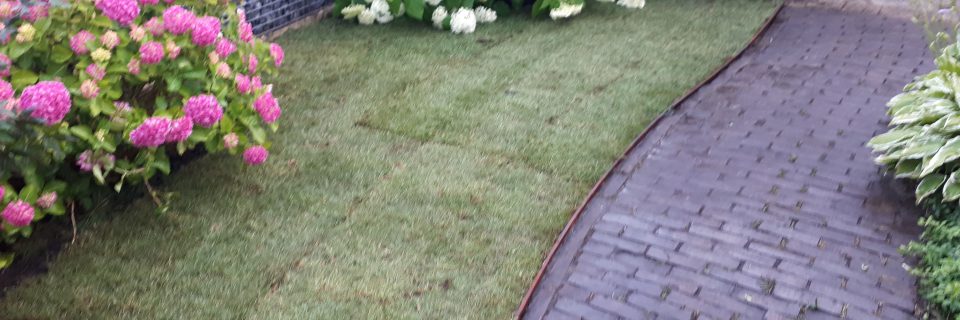 Het gras van de buren
is niet altijd groener